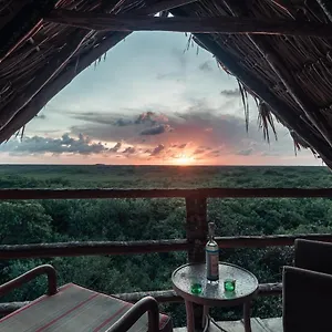 hidden-treehouse-tulum-eco-hotel-party.quintano-roohotels.com/