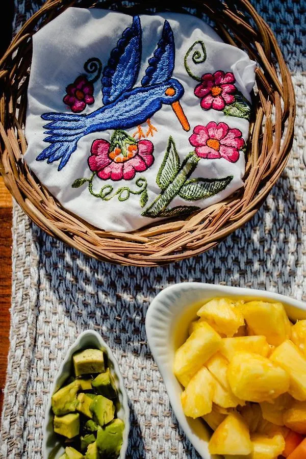 ** Frühstückspension Bed and Breakfast Casa Colibri Tankah Tulum Mexiko