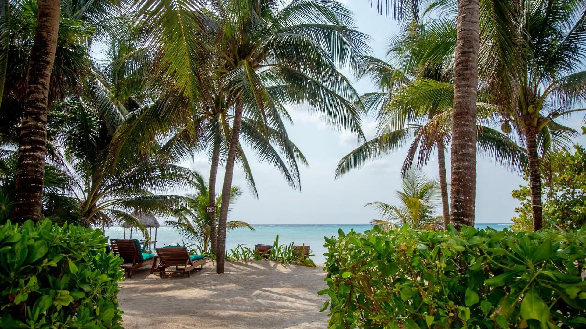 Bed and Breakfast Casa Colibri Tankah Tulum Frühstückspension